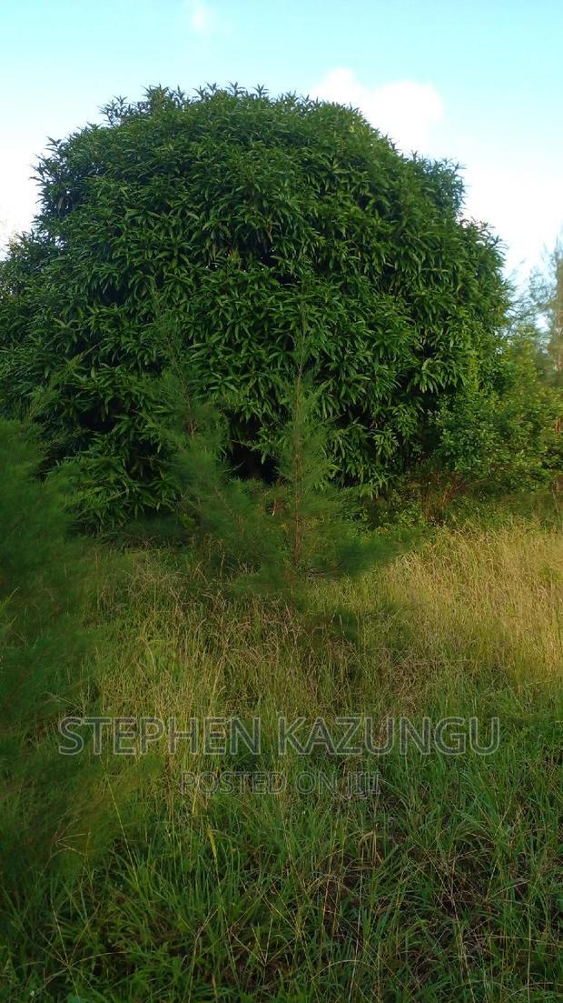 1/2 Acre Treasure Plot on Sale in Mwabungo Colarado