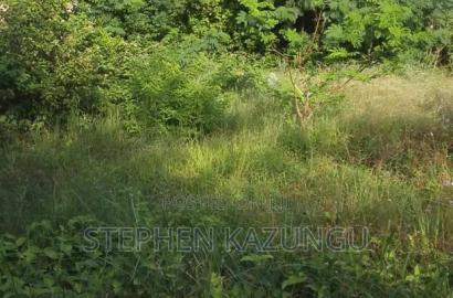 1/4 Acre Plot With Water Tower Ready on Power in the Plot