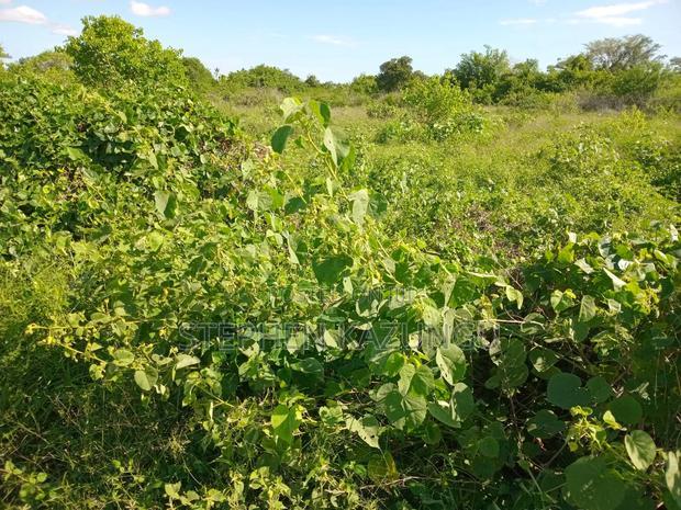 Treasure of 21 Acres of Land on Sale in Malindi at Singwaya.