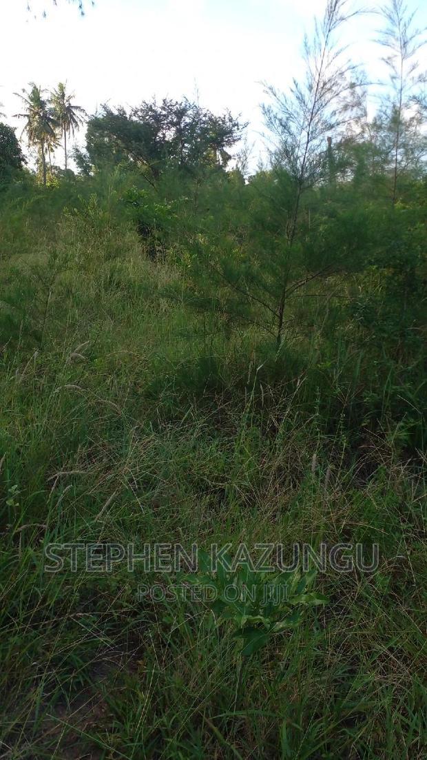 1/2 Acre Treasure Plot on Sale in Mwabungo Colarado