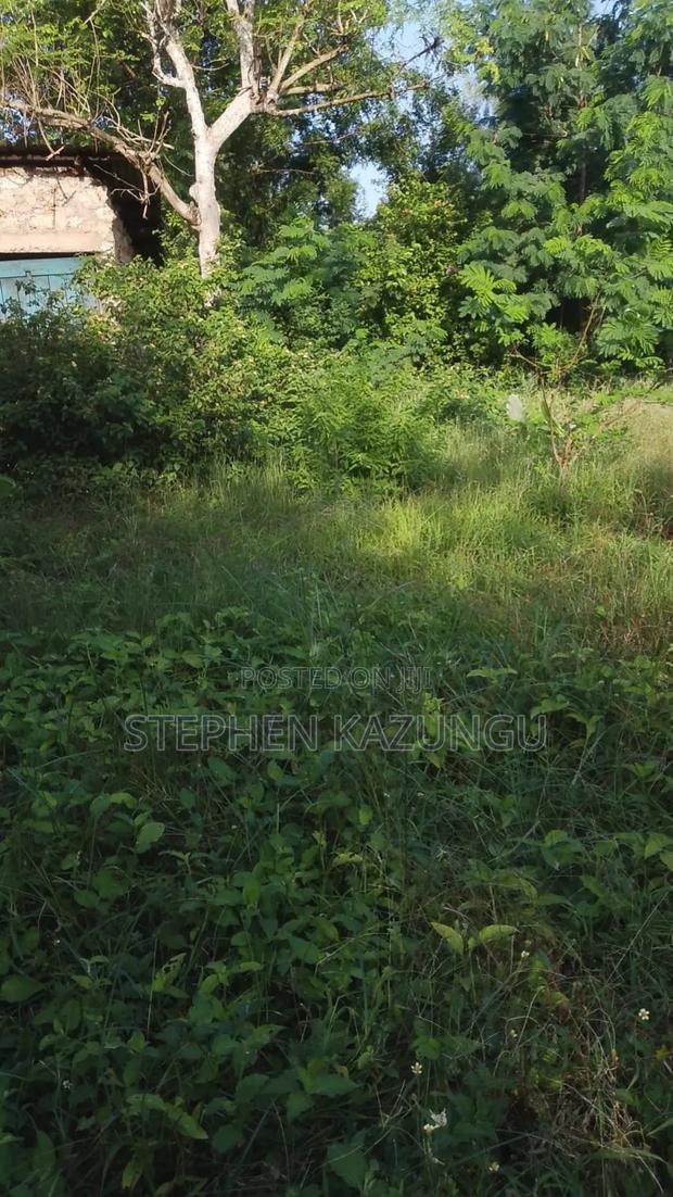 1/4 Acre Plot With Water Tower Ready on Power in the Plot
