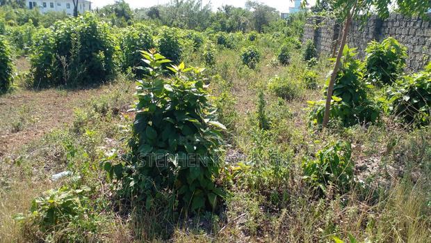 1/4 Acre Plot on Beach 3 Row, in Galu Beach