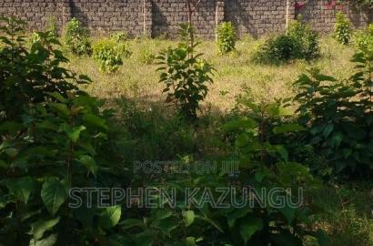 1/4 Acre Plot on 3rd Row, in Galu Beach.