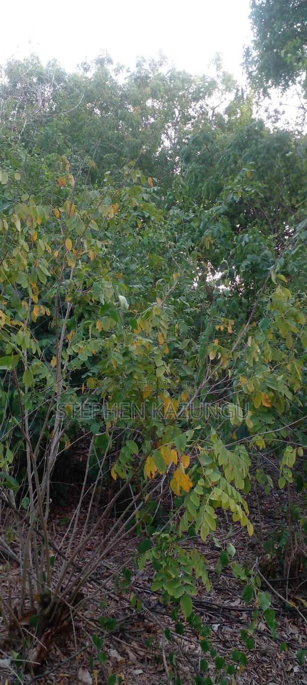 Diani Beach 1 Acre Plot on 3rd Row for Sale Behind Manyatta.