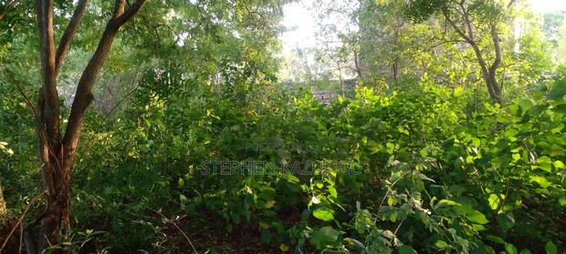 Diani Beach 1 Acre Plot on 3rd Row for Sale Behind Manyatta.