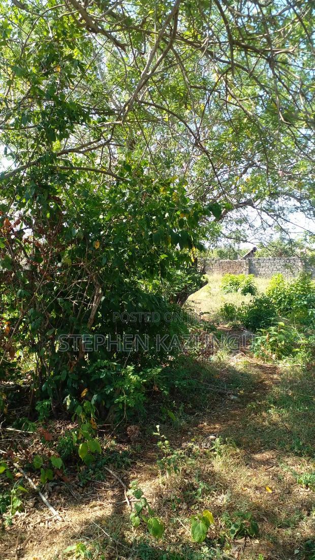 1/4 Acre Plot on Beach 3 Row, in Galu Beach
