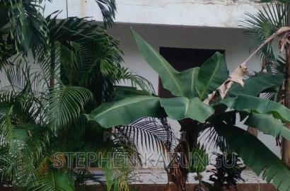 1bdrm House in Ukunda Darad for rent