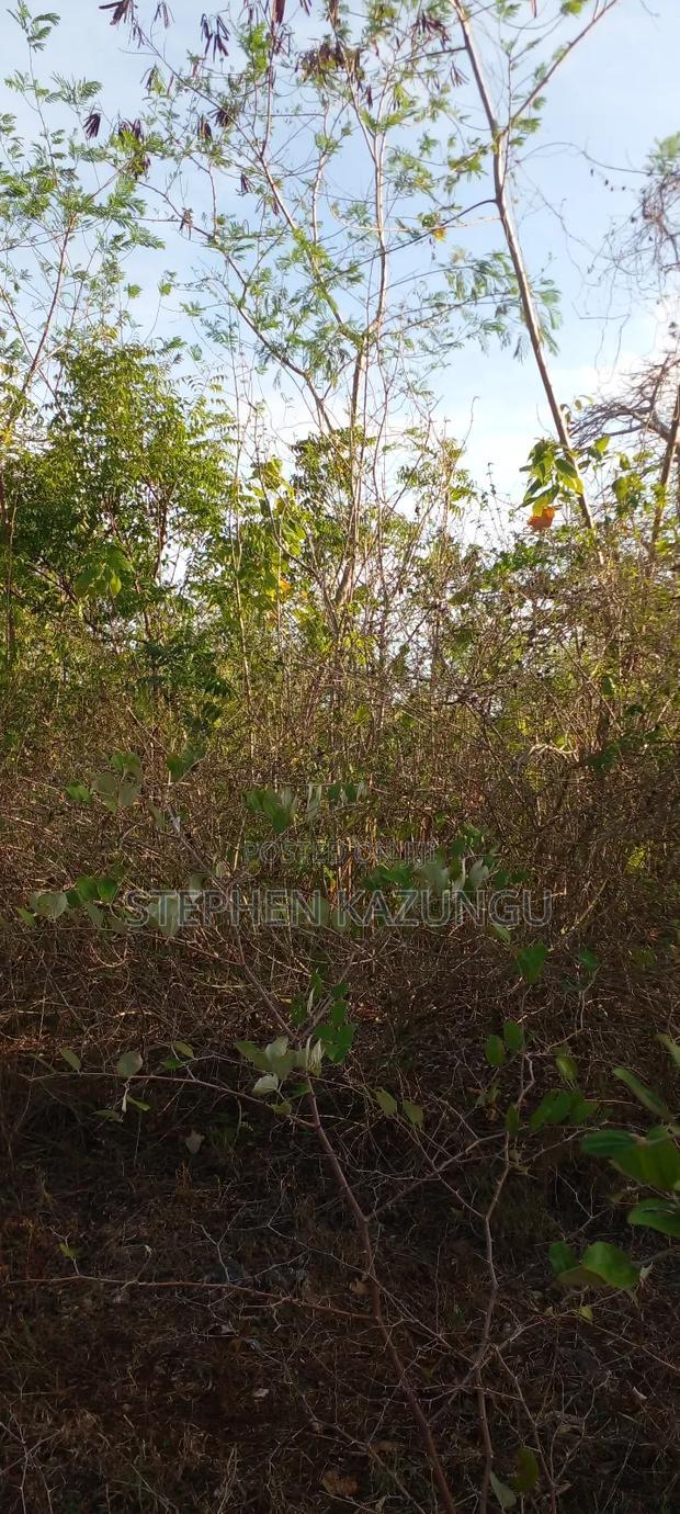 1/2 Acre Plot on Sale in Behind Sundowner Galu Beach