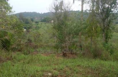 5 Acres Land Treasure in Kwale Only 200 M From Tarmac Road