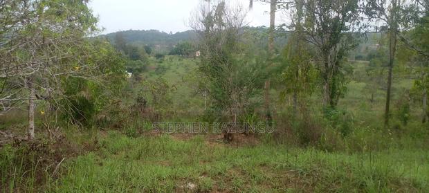 5 Acres Land Treasure in Kwale Only 200 M From Tarmac Road