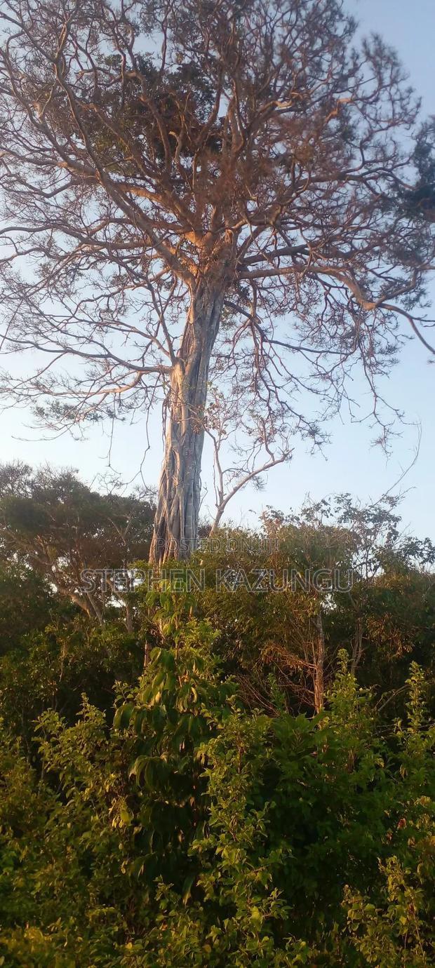 3.5 Acres Beach Plot on Sale in Galu Kinondo Beach
