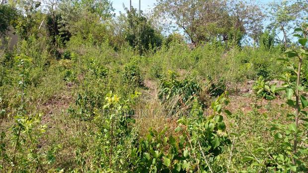 1/4 Acre Plot on Beach 3 Row, in Galu Beach