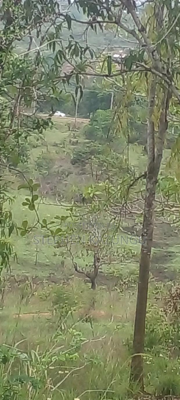 5 Acres Land Treasure in Kwale Only 200 M From Tarmac Road