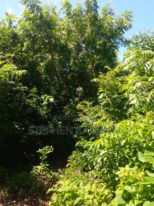 1/2 Acre Plot at End of 2nd Row, in Diani Beach.