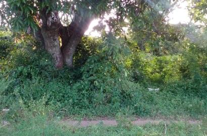 1/2 Acre Treasure Plot on Sale in Mwabungo Colarado