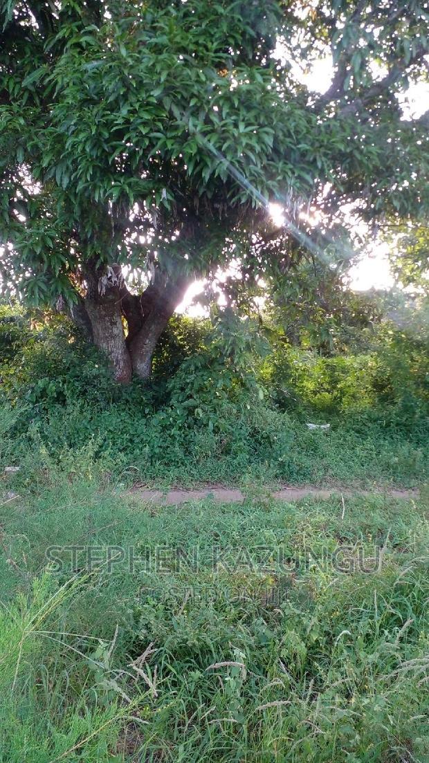 1/2 Acre Treasure Plot on Sale in Mwabungo Colarado