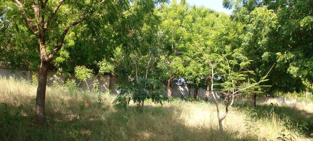 1/2 Acre Beach Plot on Sale in Galu Beach