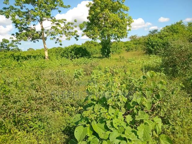 Treasure of 21 Acres of Land on Sale in Malindi at Singwaya.
