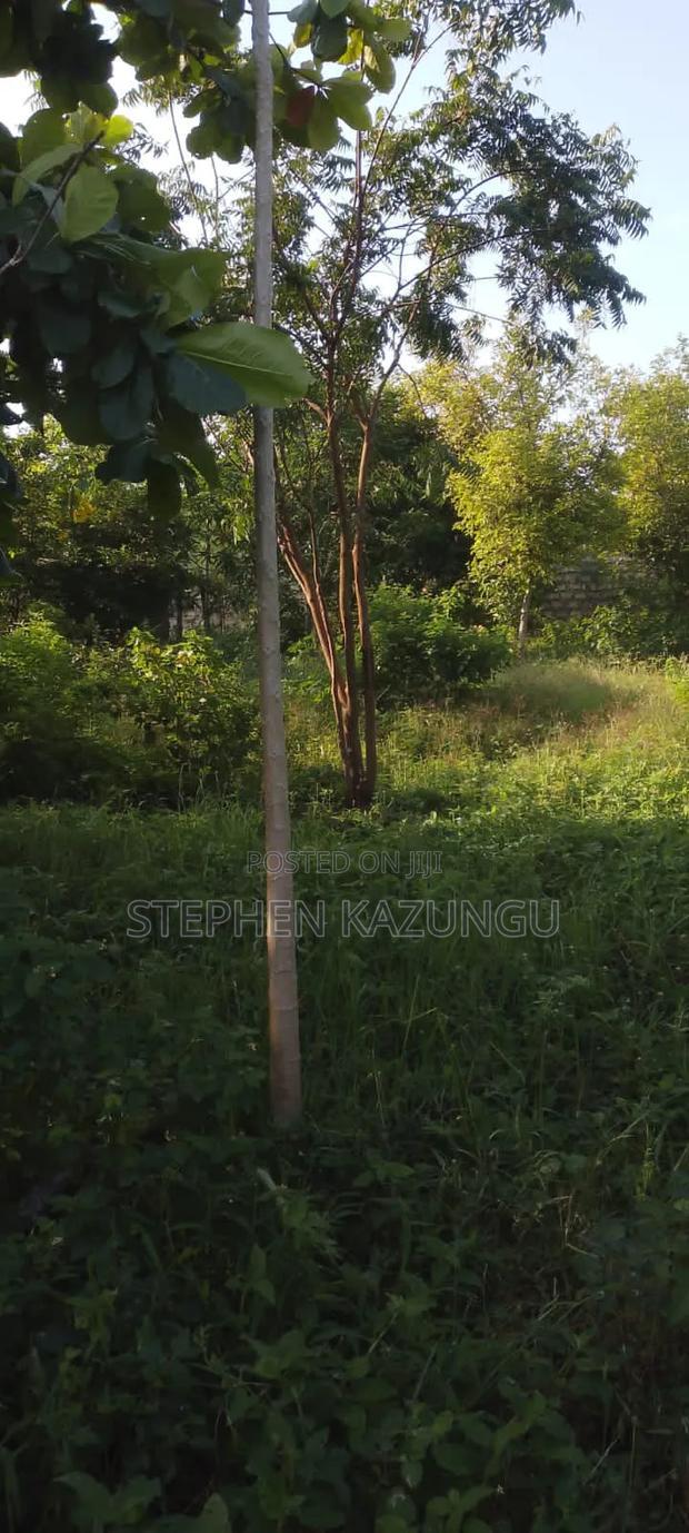 1/4 Acre Plot With Water Tower Ready on Power in the Plot