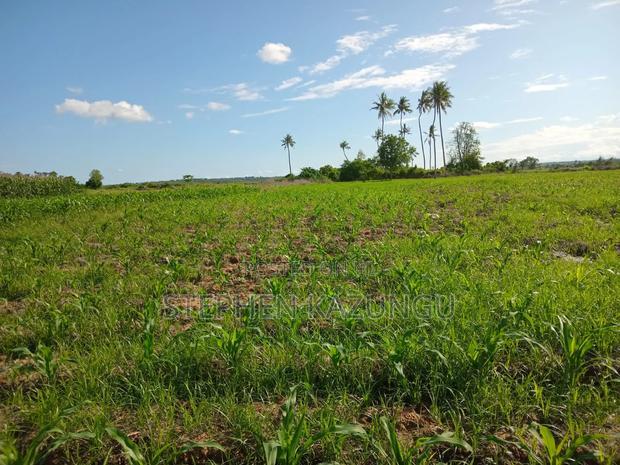 Treasure of 21 Acres of Land on Sale in Malindi at Singwaya.
