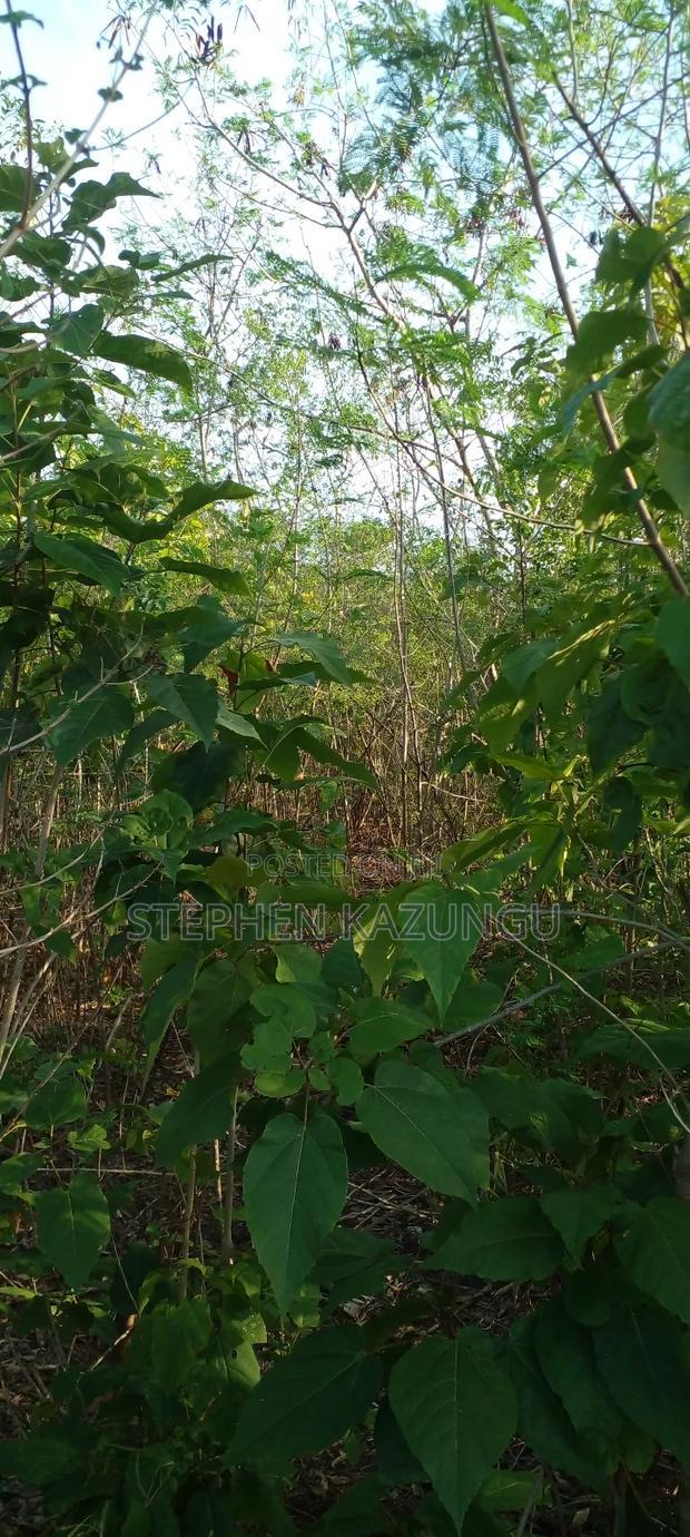 1/2 Acre Plot on Sale in Behind Sundowner Galu Beach