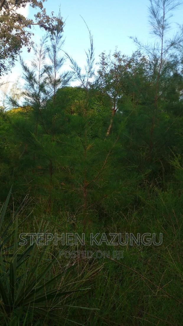 1/2 Acre Treasure Plot on Sale in Mwabungo Colarado