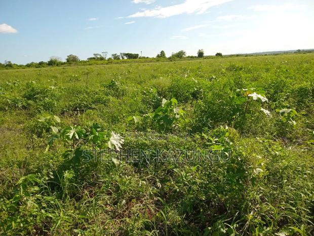 Treasure of 21 Acres of Land on Sale in Malindi at Singwaya.