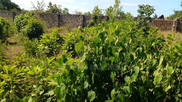 1/4 Acre Plot on Beach 3 Row, in Galu Beach