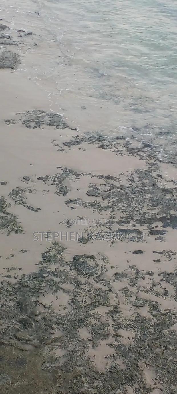 3.5 Acres Beach Plot on Sale in Galu Kinondo Beach