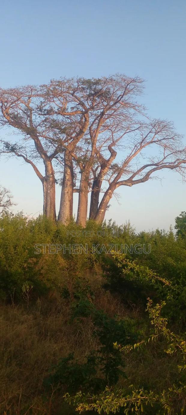 3.5 Acres Beach Plot on Sale in Galu Kinondo Beach