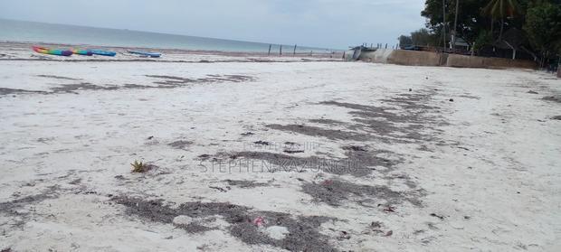 1 Acre Clear Sandy Beach Plot on Sale in Galu Beach