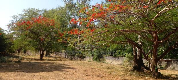 2 Acres 1/4 Beach Plot on Sale in Galu Beach