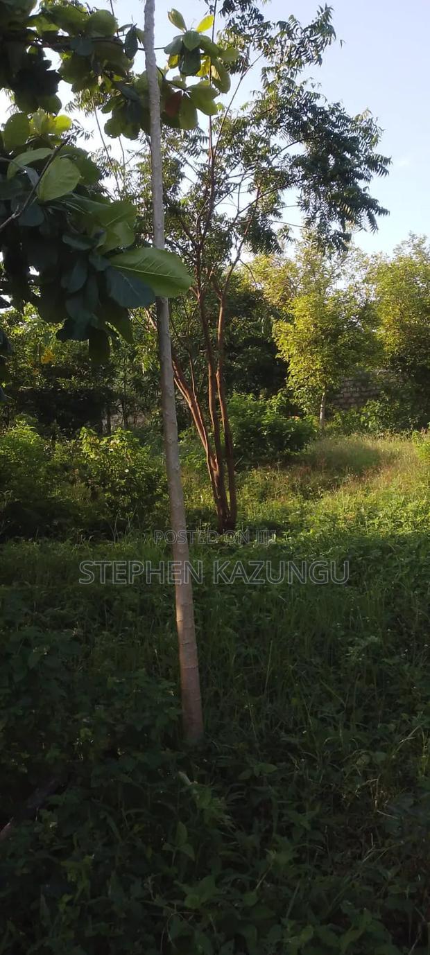 1/4 Acre Plot With Water Tower Ready on Power in the Plot