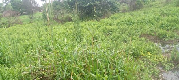5 Acres Land Treasure in Kwale Only 200 M From Tarmac Road