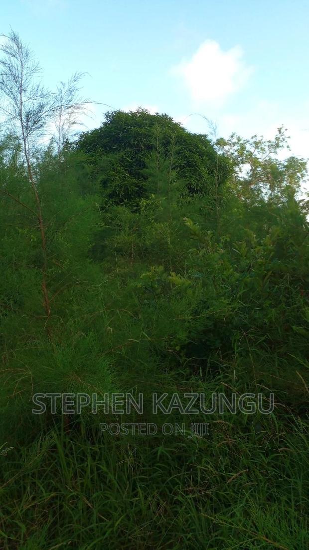 1/2 Acre Treasure Plot on Sale in Mwabungo Colarado