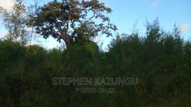 1/2 Acre Treasure Plot on Sale in Mwabungo Colarado