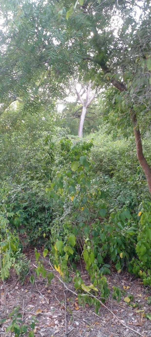Diani Beach 1 Acre Plot on 3rd Row for Sale Behind Manyatta.