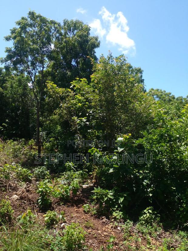 1/2 Acre Plot at End of 2nd Row, in Diani Beach.