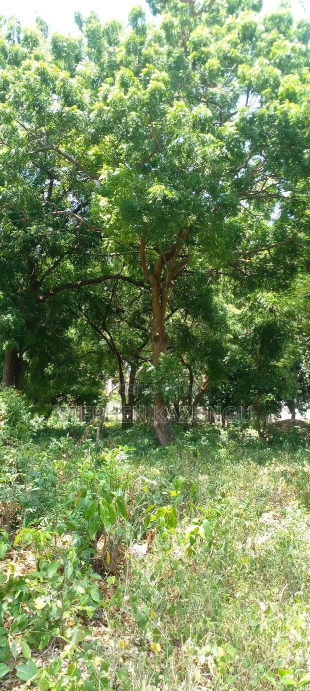 3 Acres Beach Plot Touching Clear Sandy on Blue Sea Water.