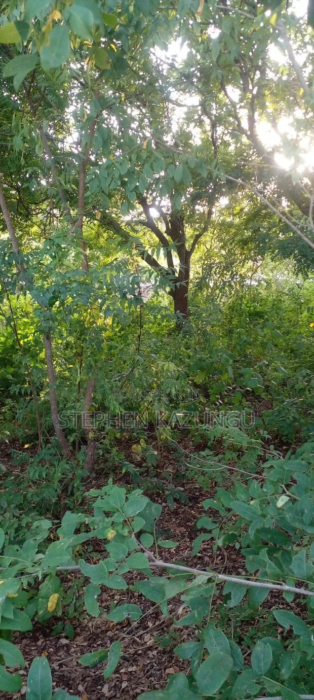 Diani Beach 1 Acre Plot on 3rd Row for Sale Behind Manyatta.