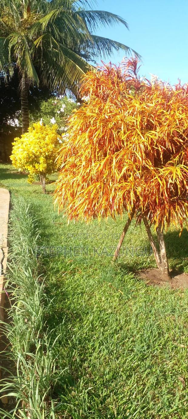 Furnished 5bdrm House in Coconut Groove 3 End, Ukunda for sale