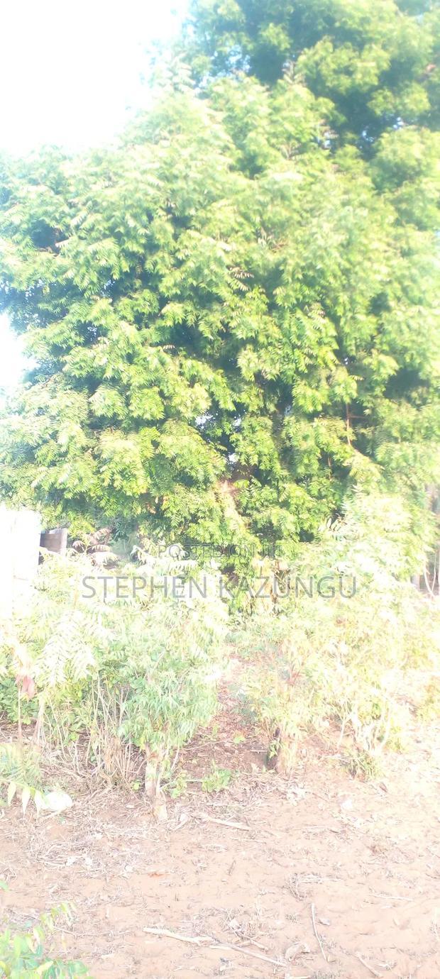 1/8 Acre Plot on Sale in Malindi Musoloni 100 M From Road