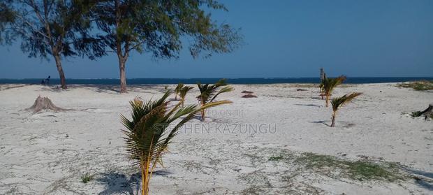 1/2 Acre Beach Plot on Sale in Galu Beach