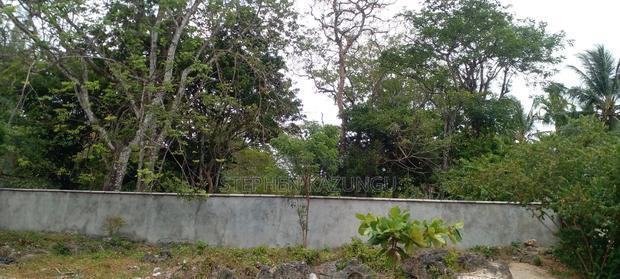 1 Acre Clear Sandy Beach Plot on Sale in Galu Beach