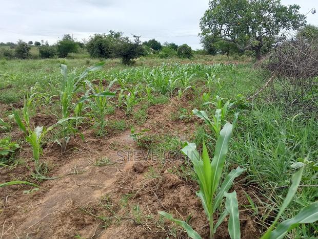 Plot for Sale Kinango Kwale