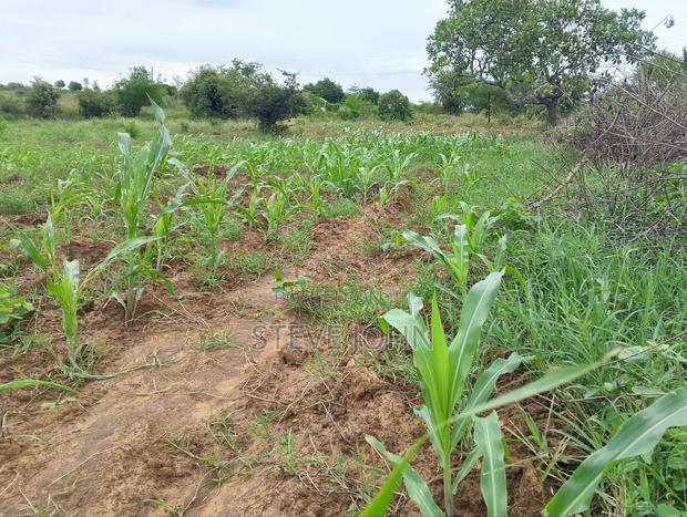 Plot for Sale Kinango Kwale