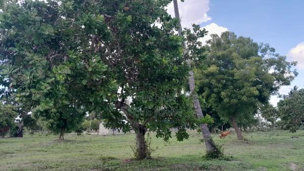 Plots for Sale With Title Kilifi