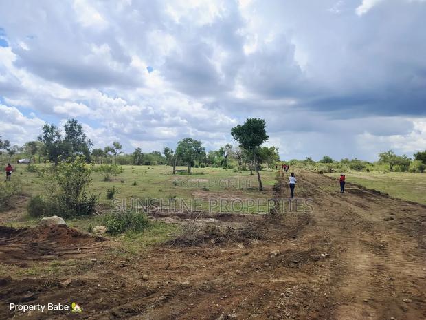 Prime Plots In Malindi