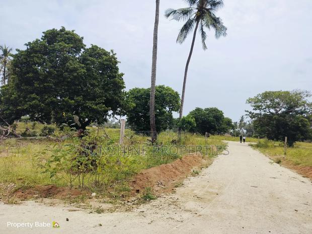 Chumani Plots for Sale