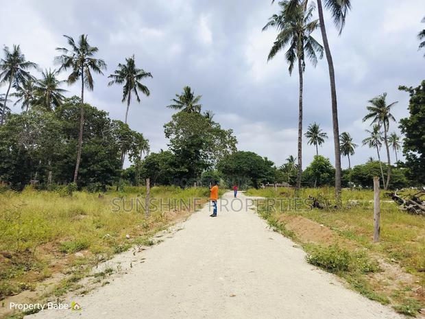 Chumani Plots for Sale